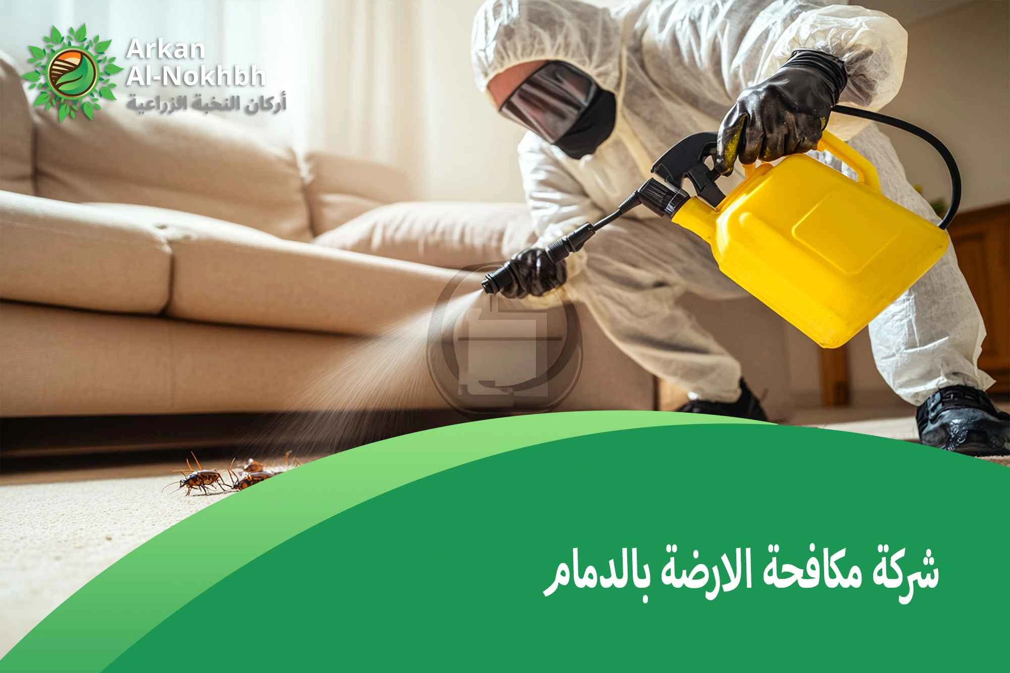 شركة مكافحة الارضة بالدمام