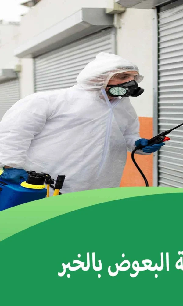 شركة مكافحة البعوض بالخبر