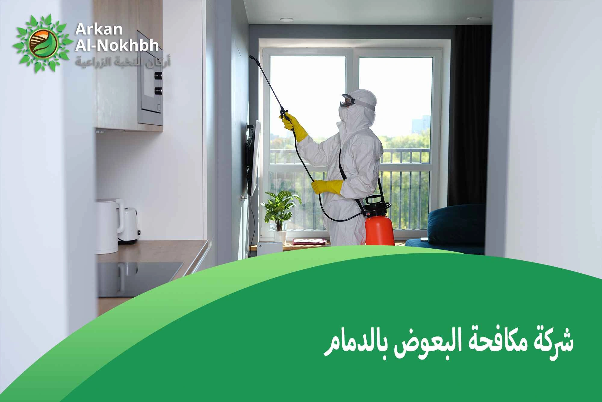 شركة مكافحة البعوض بالدمام