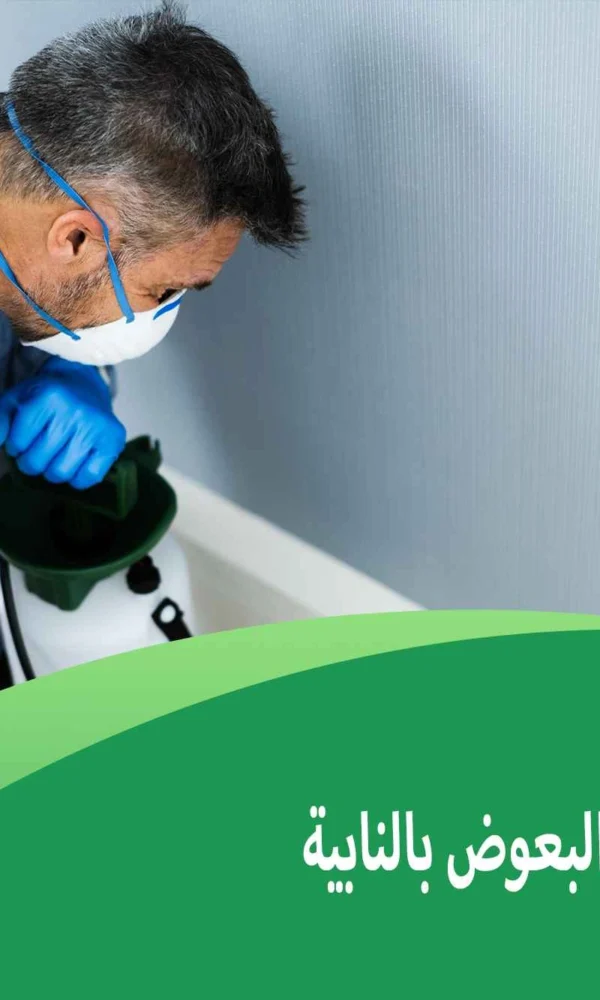 شركة مكافحة البعوض بالنابية