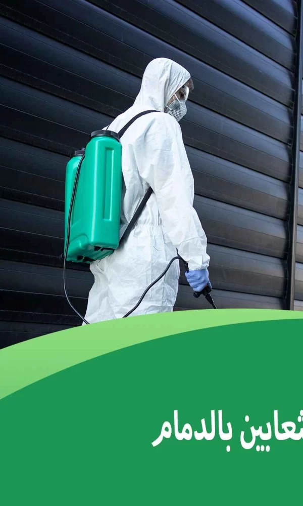 شركة مكافحة الثعابين بالدمام