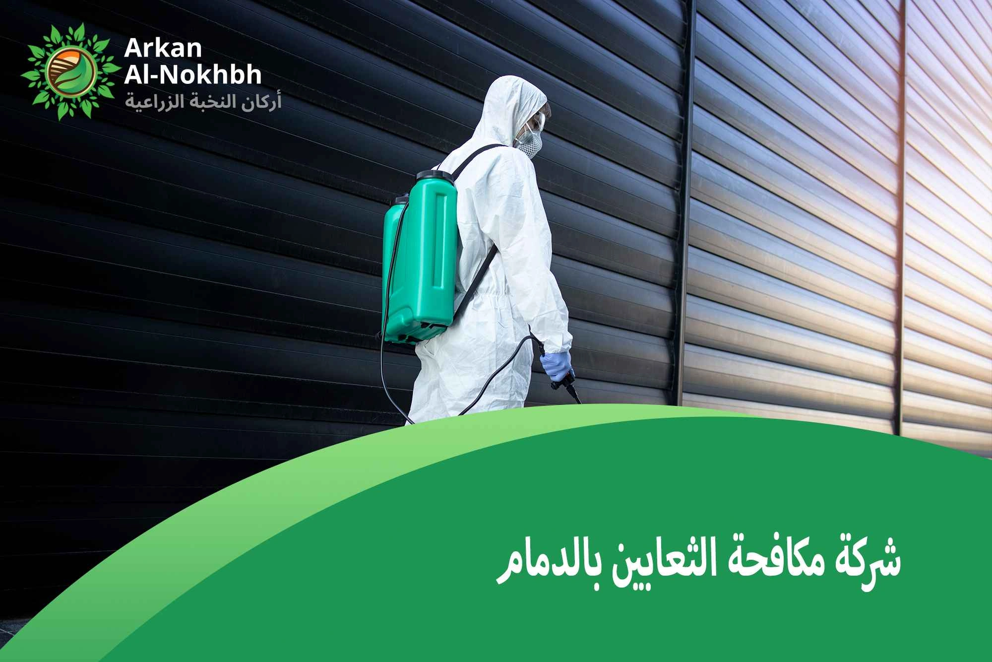 شركة مكافحة الثعابين بالدمام