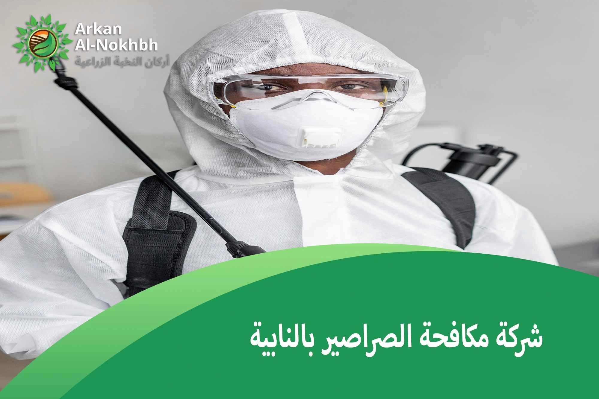شركة مكافحة الصراصير بالنابية