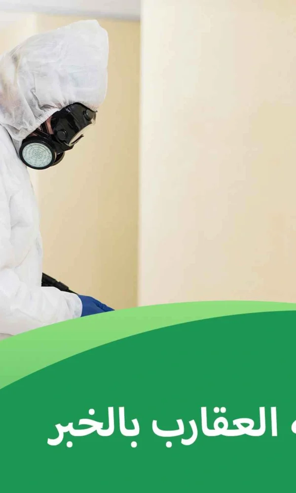 شركة مكافحة العقارب بالخبر