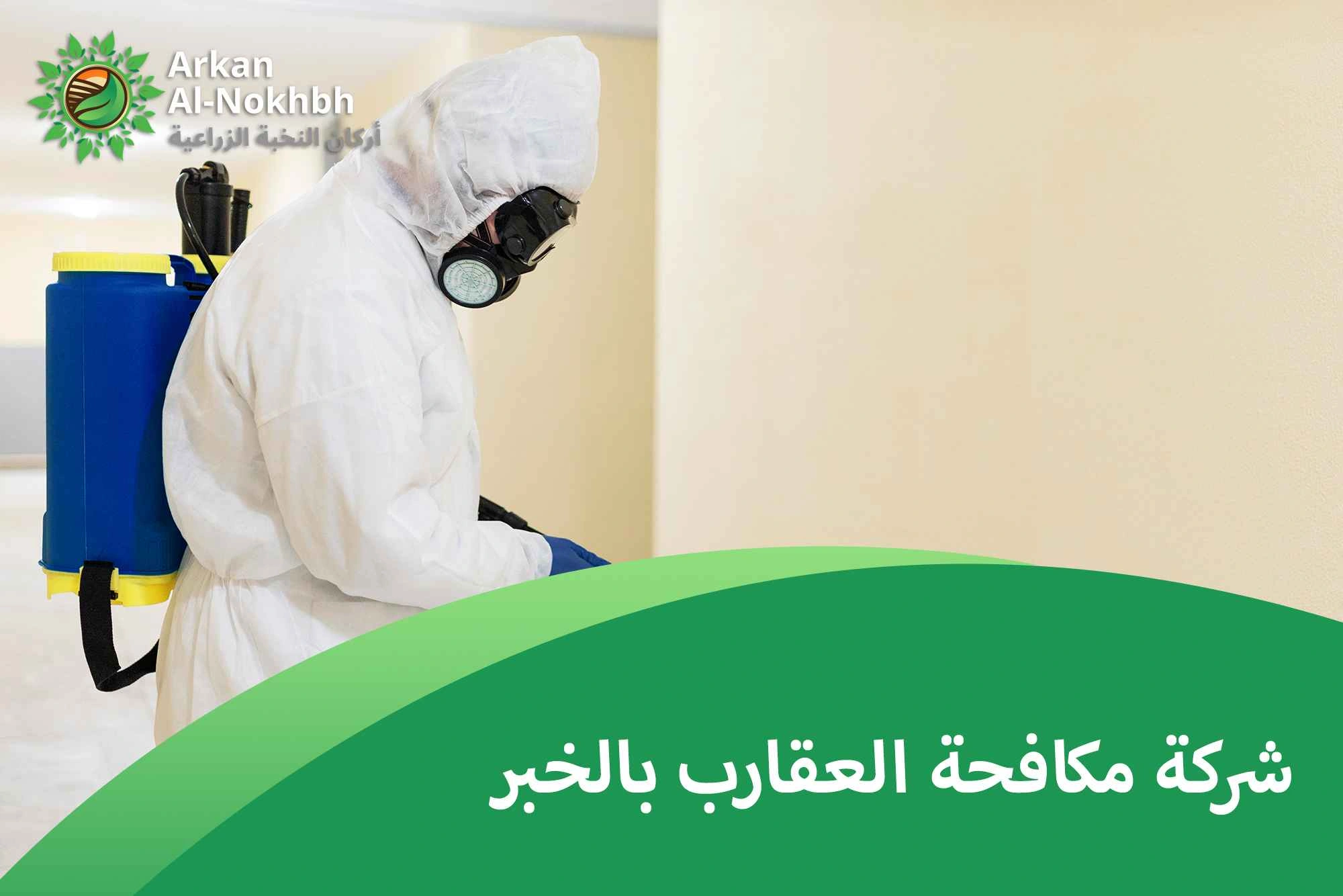 شركة مكافحة العقارب بالخبر