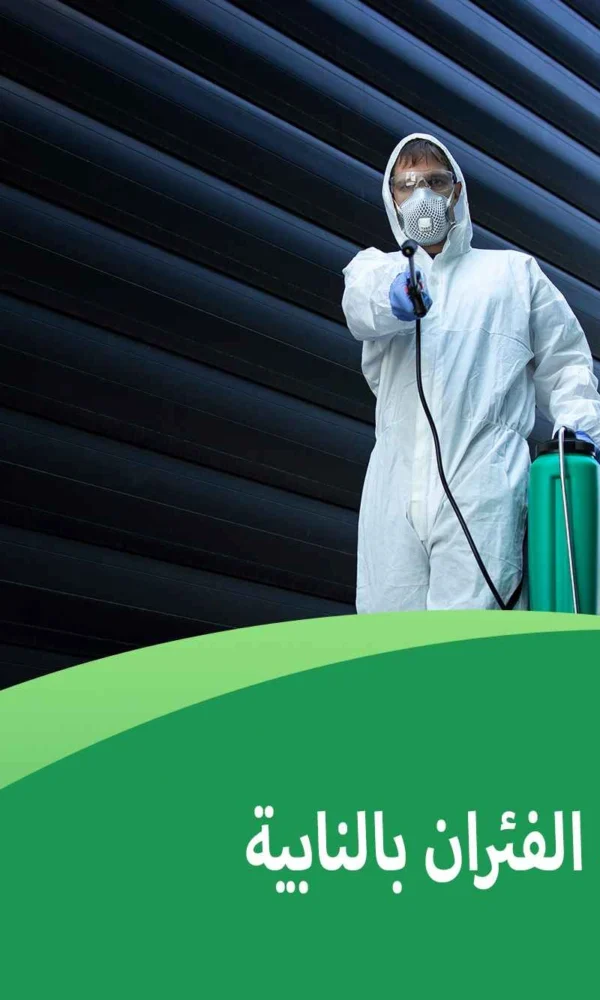 شركة مكافحة الفئران بالنابية