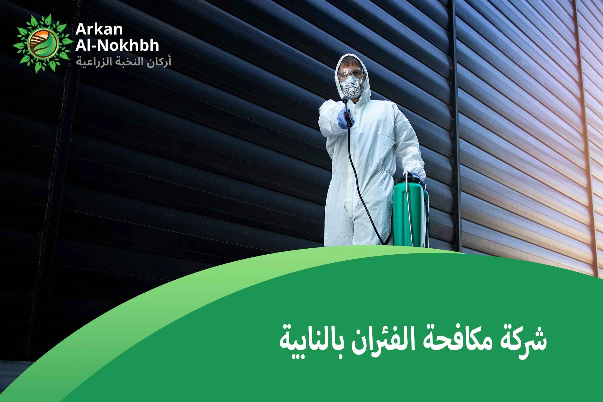 شركة مكافحة الفئران بالنابية