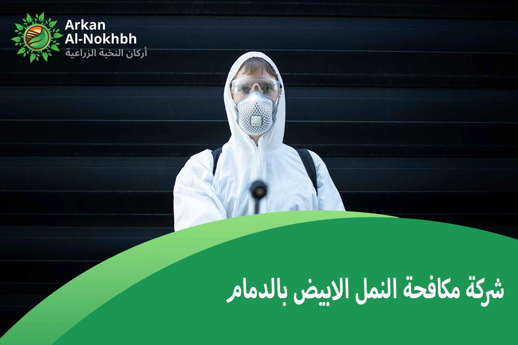 شركة مكافحة النمل الابيض بالدمام