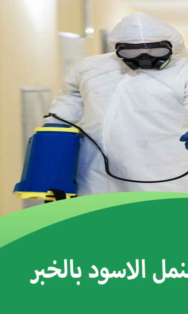 شركة مكافحة النمل الاسود بالخبر