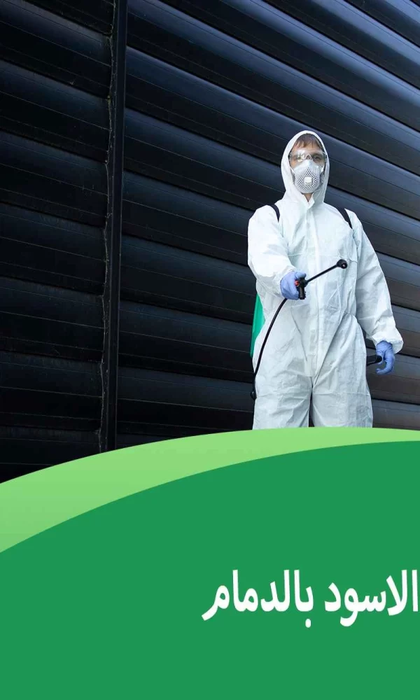 شركة مكافحة النمل الاسود بالدمام