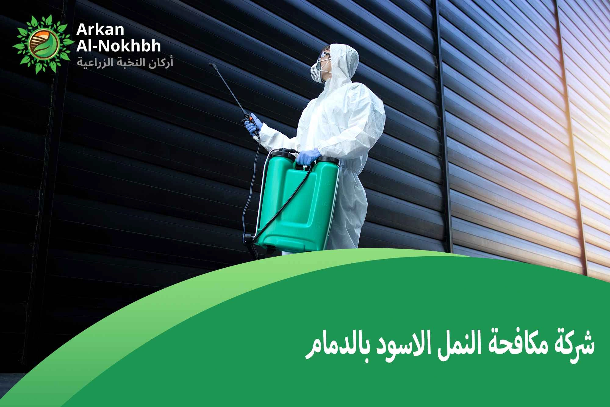 شركة مكافحة النمل الاسود بالدمام
