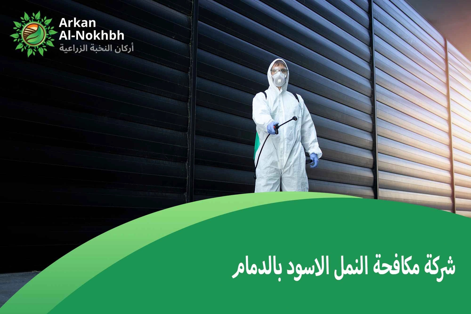 شركة مكافحة النمل الاسود بالدمام