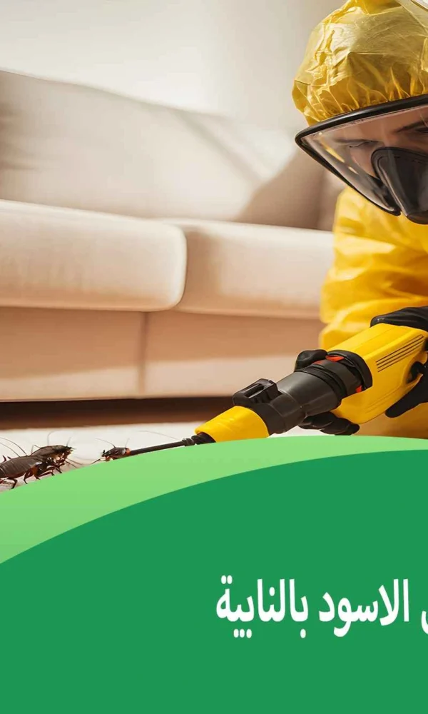 شركة مكافحة النمل الاسود بالنابية