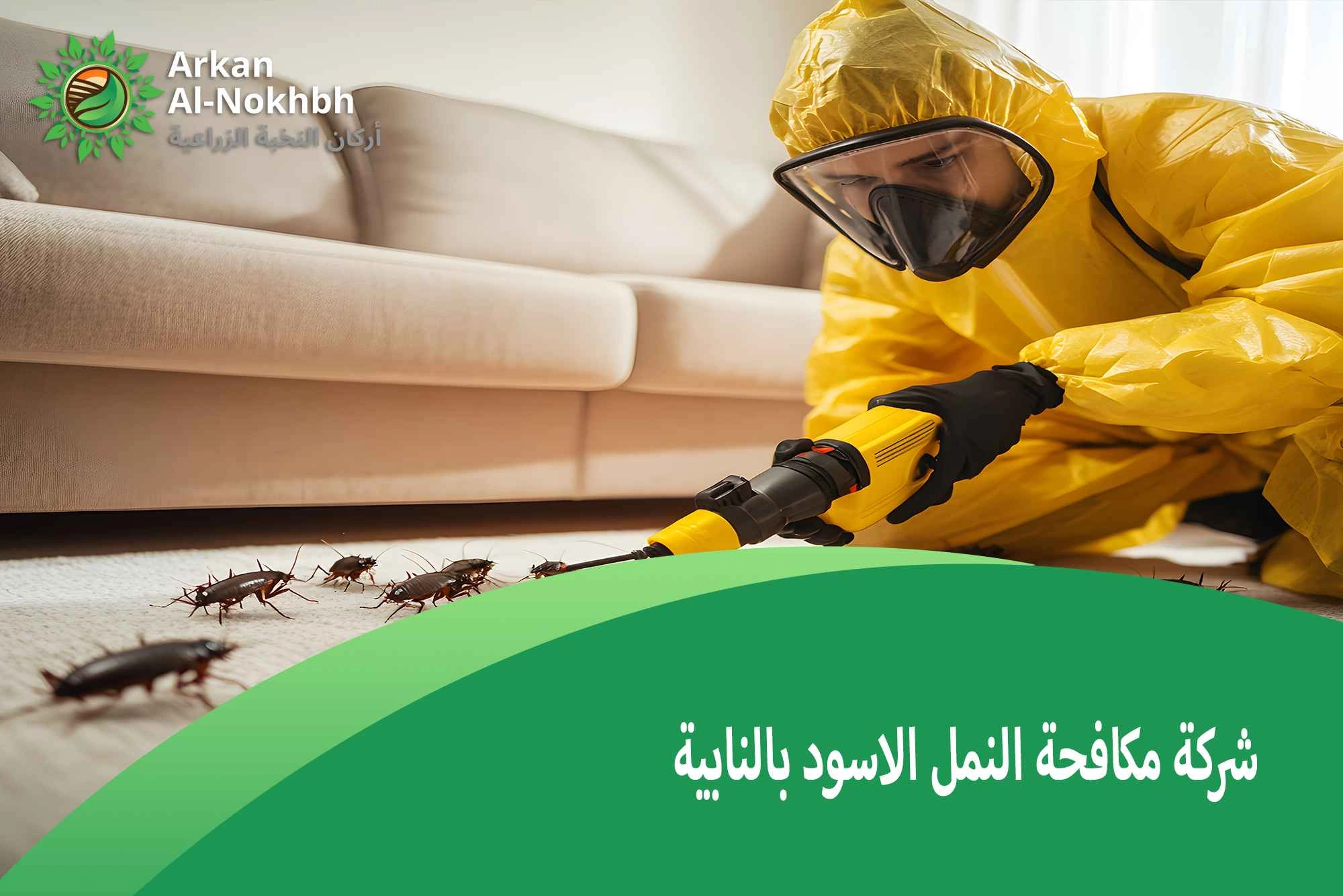 شركة مكافحة النمل الاسود بالنابية