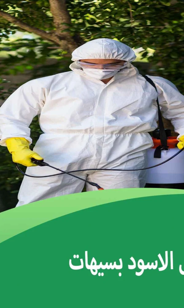 شركة مكافحة النمل الاسود بسيهات