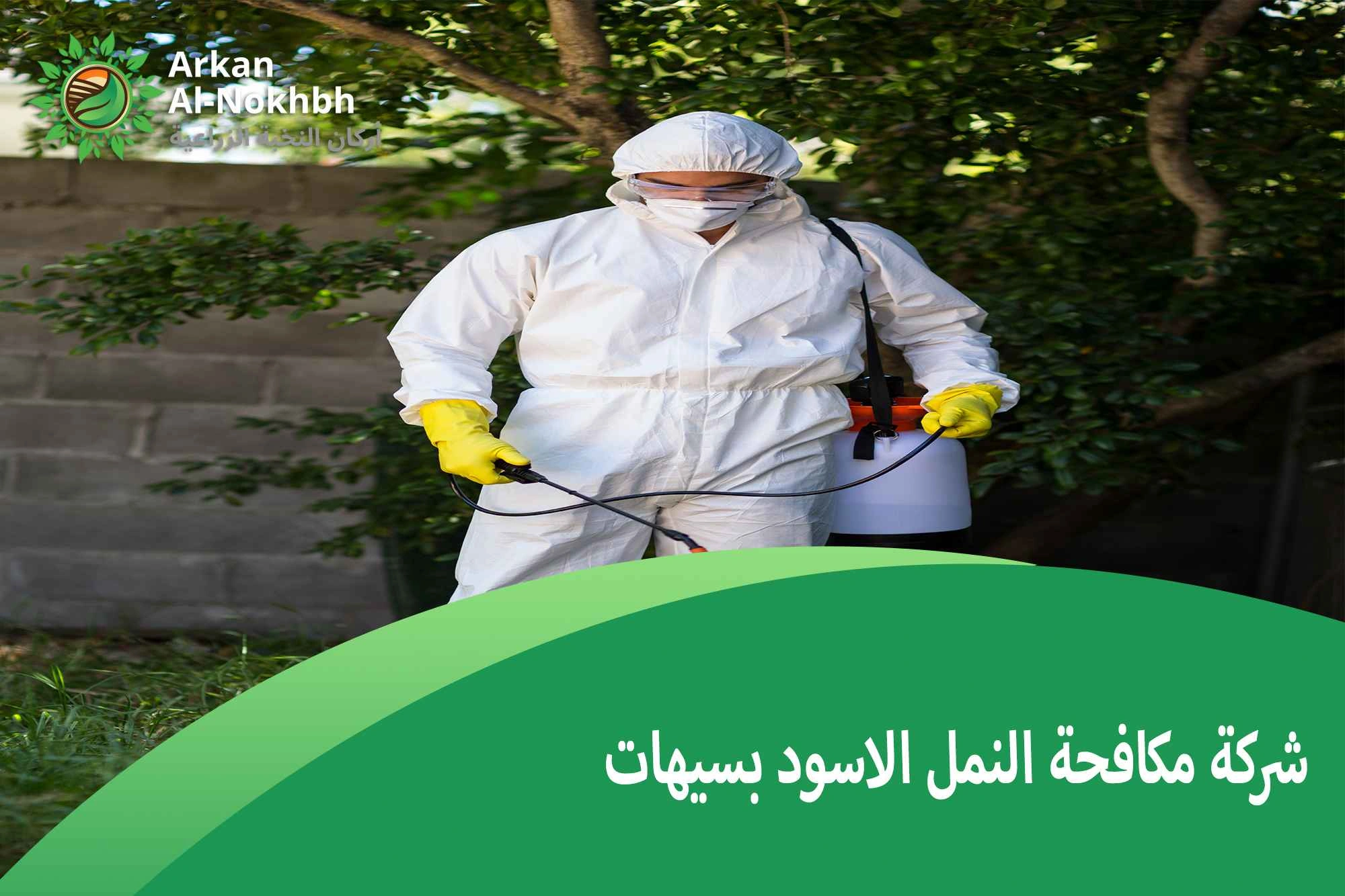 شركة مكافحة النمل الاسود بسيهات