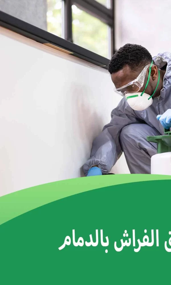 شركة مكافحة بق الفراش بالدمام