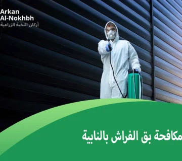 شركة مكافحة بق الفراش بالنابية