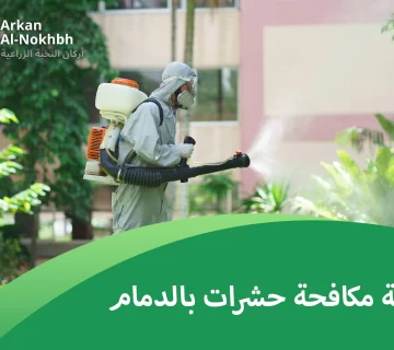 شركة مكافحة حشرات بالدمام