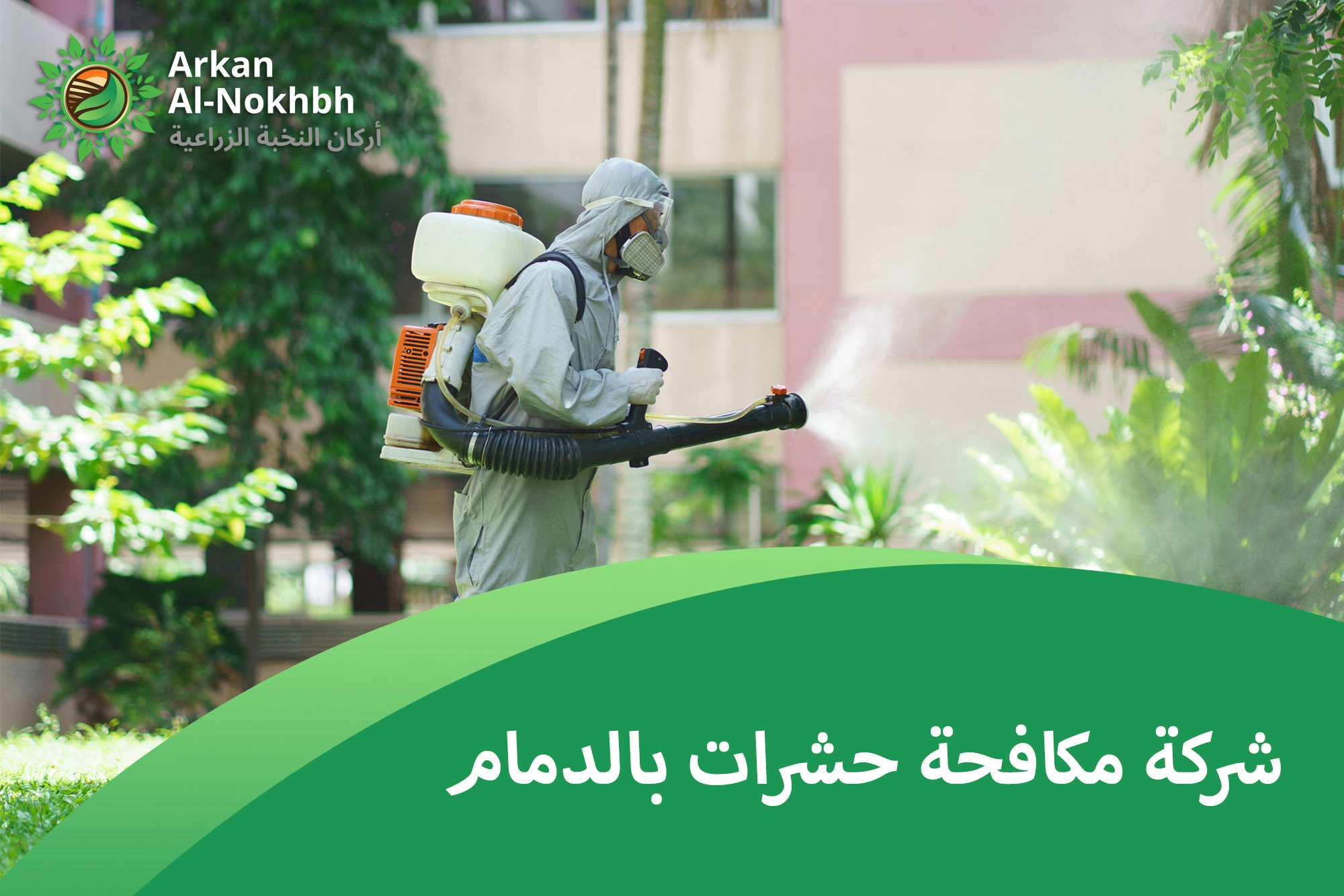 شركة مكافحة حشرات بالدمام