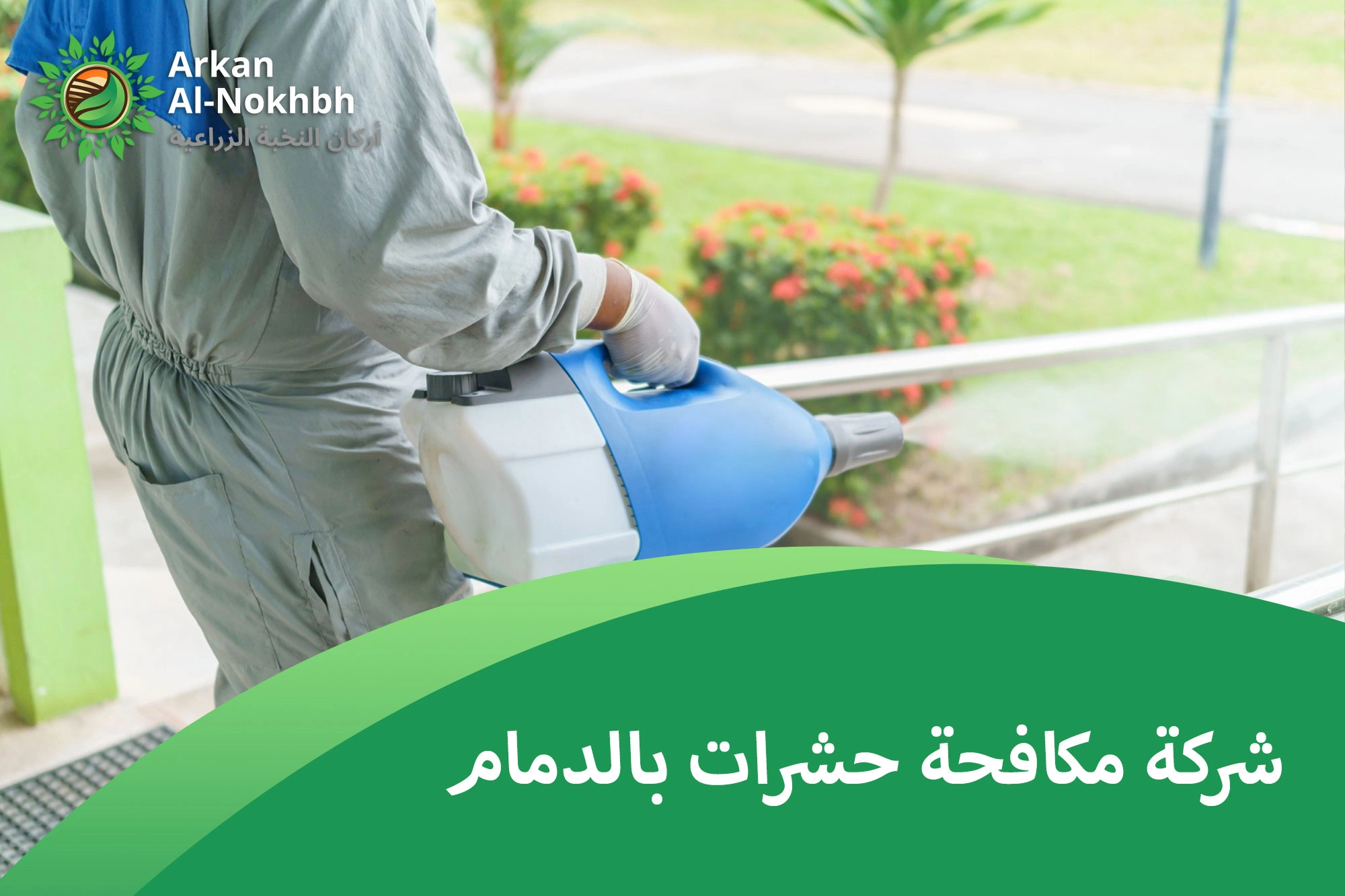 شركة مكافحة حشرات بالدمام