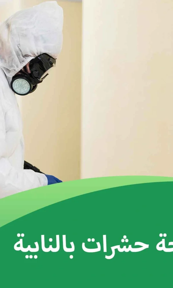 شركة مكافحة حشرات بالنابية