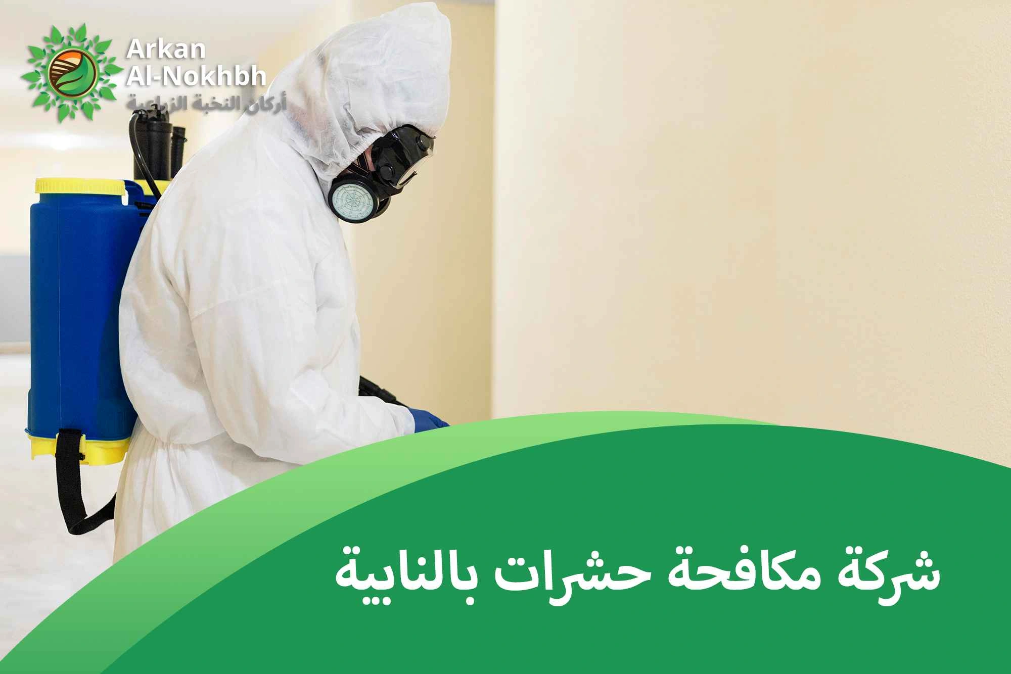 شركة مكافحة حشرات بالنابية