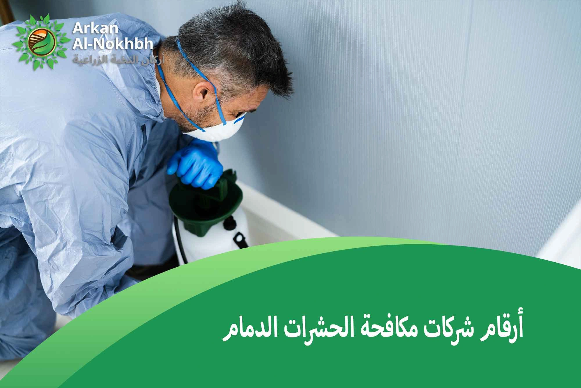 أرقام شركات مكافحة الحشرات الدمام