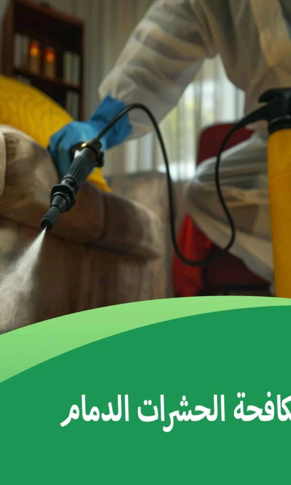 أرقام شركات مكافحة الحشرات الدمام