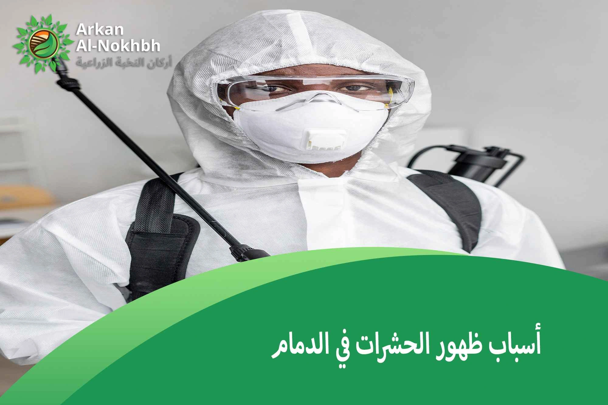 أسباب ظهور الحشرات في الدمام