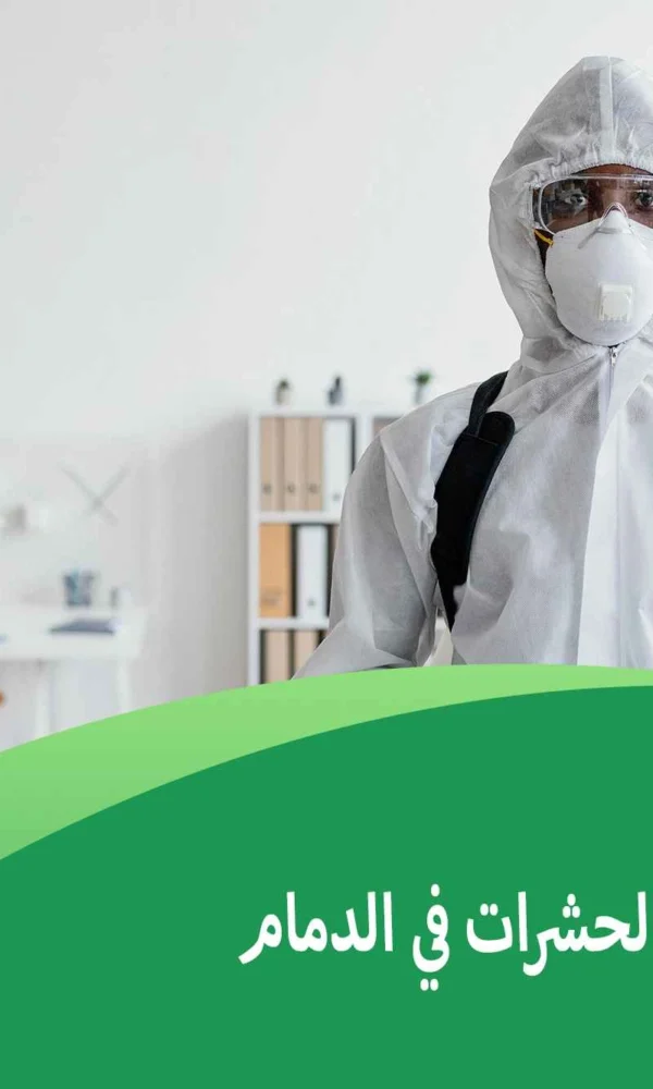 أسباب ظهور الحشرات في الدمام