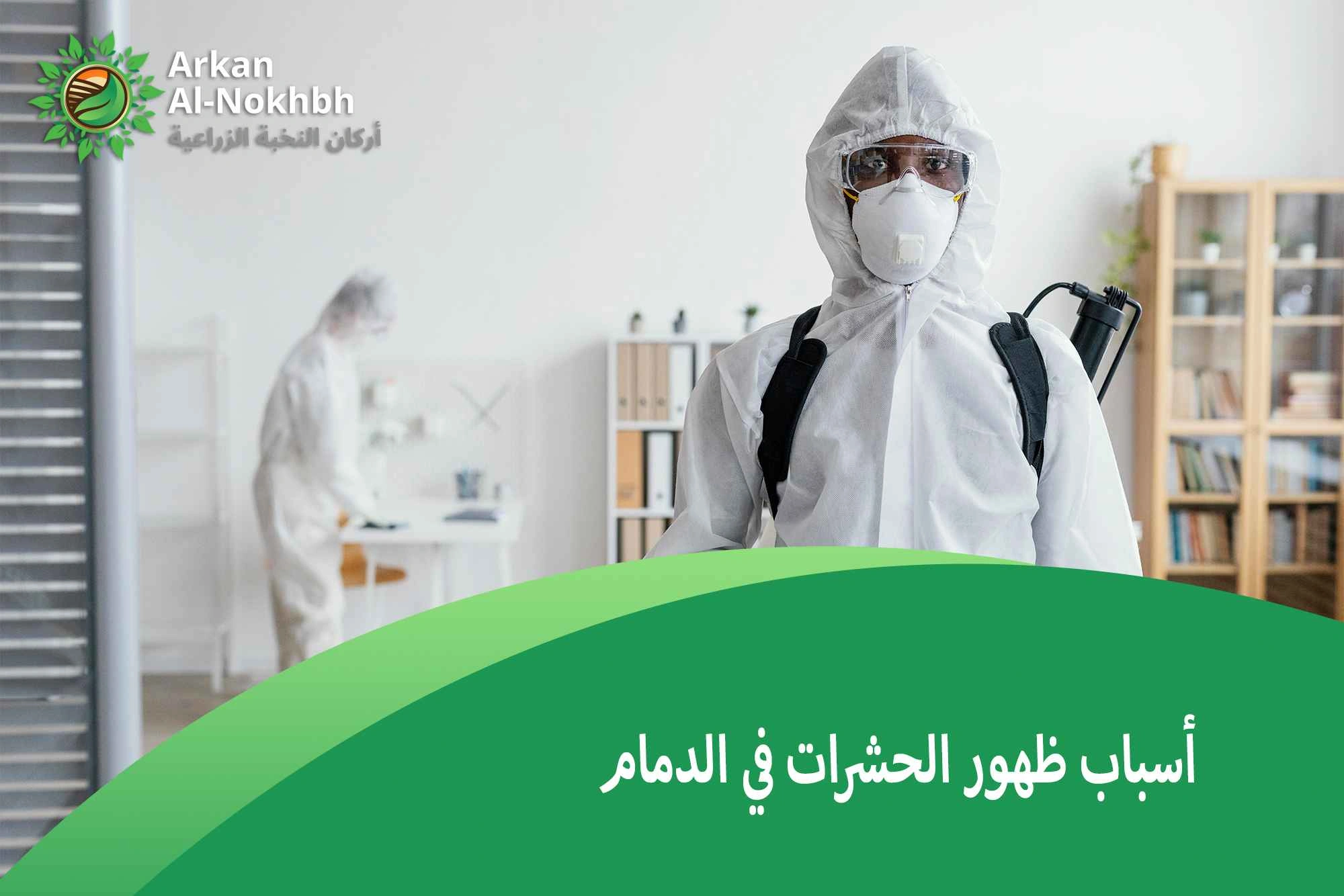 أسباب ظهور الحشرات في الدمام