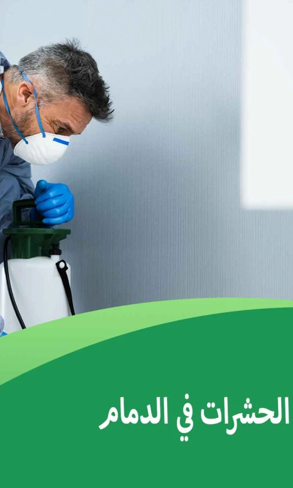 أسعار مكافحة الحشرات في الدمام