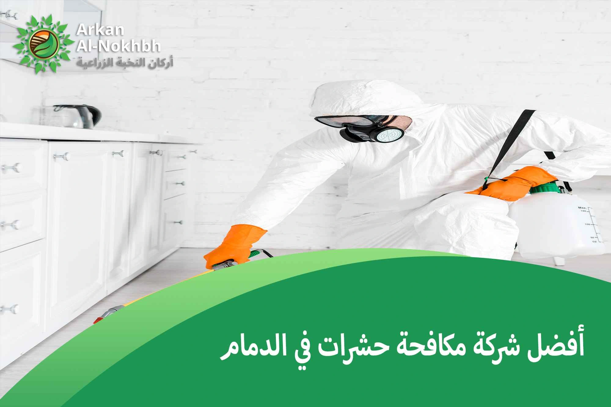 أفضل شركة مكافحة حشرات في الدمام