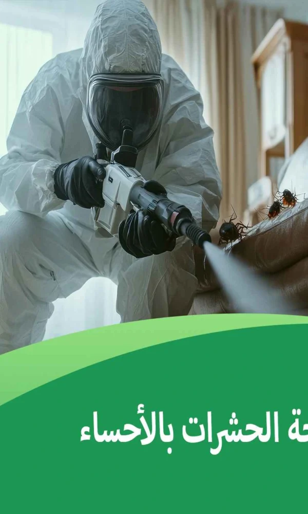 اسعار شركات مكافحة الحشرات بالأحساء