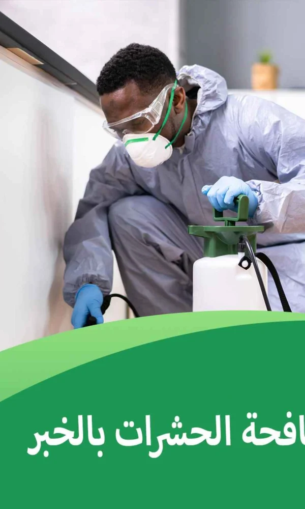 اسعار شركات مكافحة الحشرات بالخبر