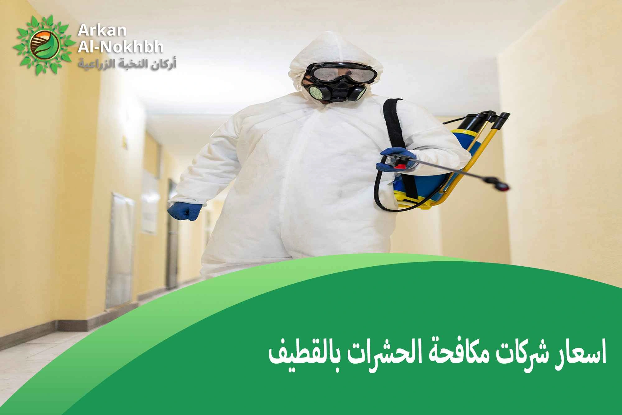 اسعار شركات مكافحة الحشرات بالقطيف