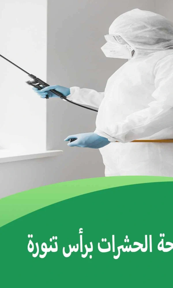 اسعار شركات مكافحة الحشرات برأس تنورة