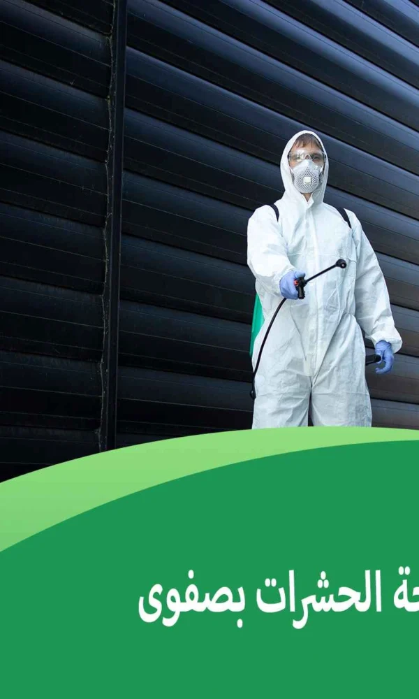 اسعار شركات مكافحة الحشرات بصفوى