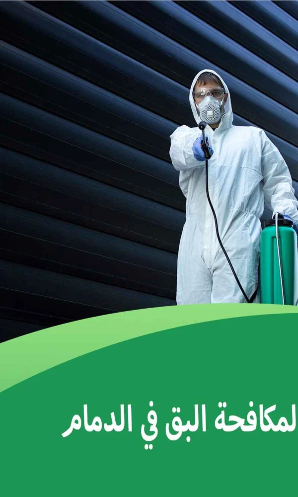 حلول سريعة لمكافحة البق في الدمام