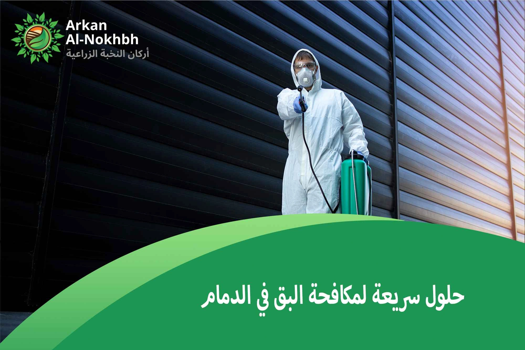 حلول سريعة لمكافحة البق في الدمام