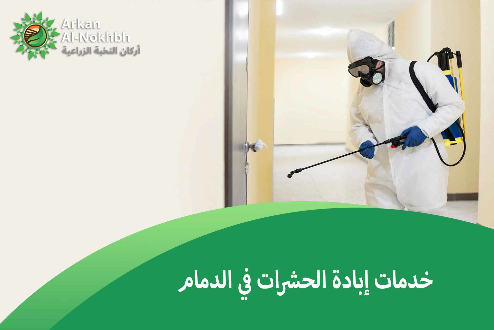 خدمات إبادة الحشرات في الدمام
