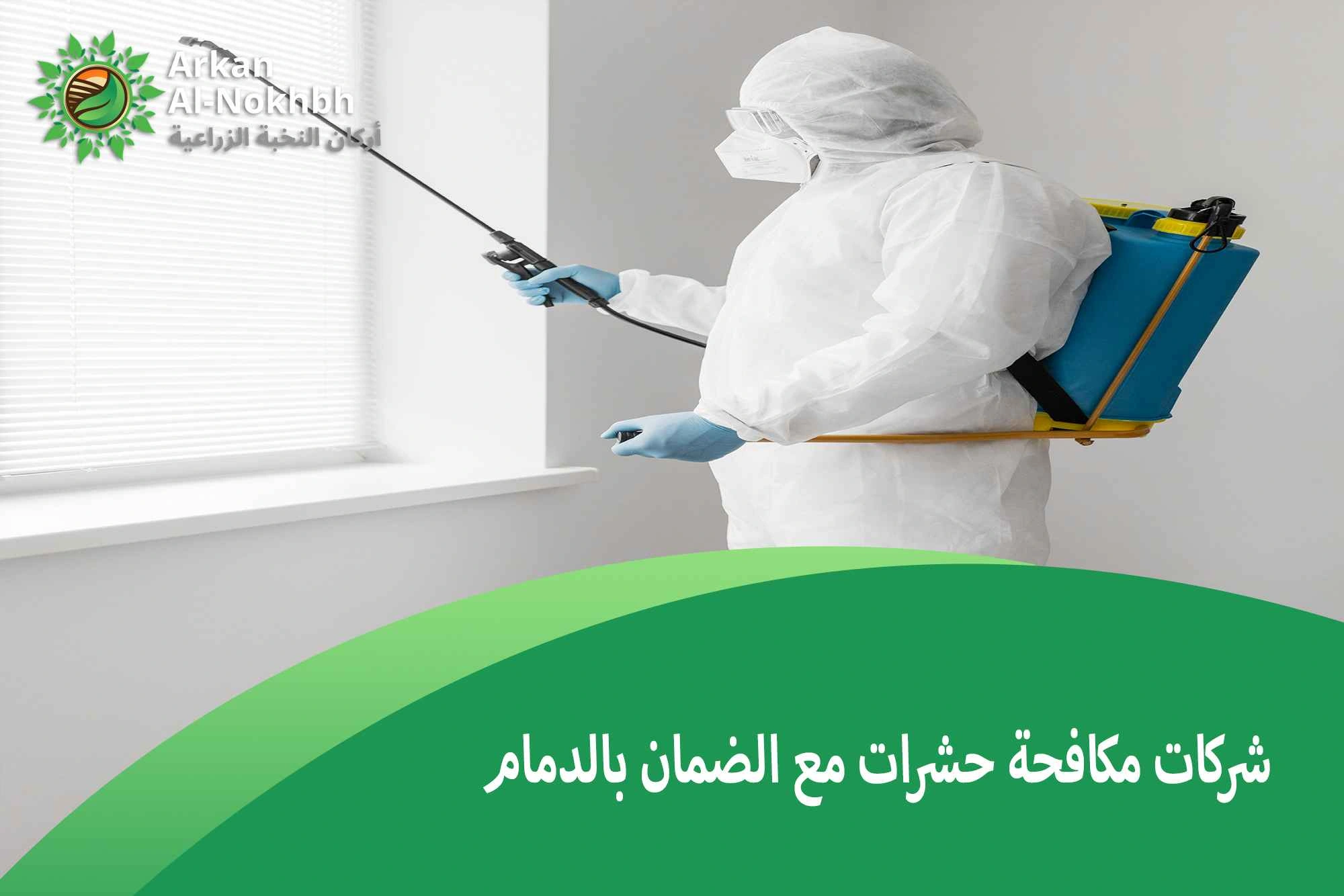 شركات مكافحة حشرات مع الضمان بالدمام