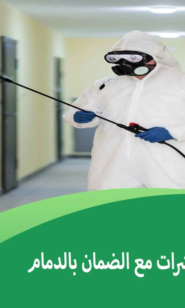 شركات مكافحة حشرات مع الضمان بالدمام