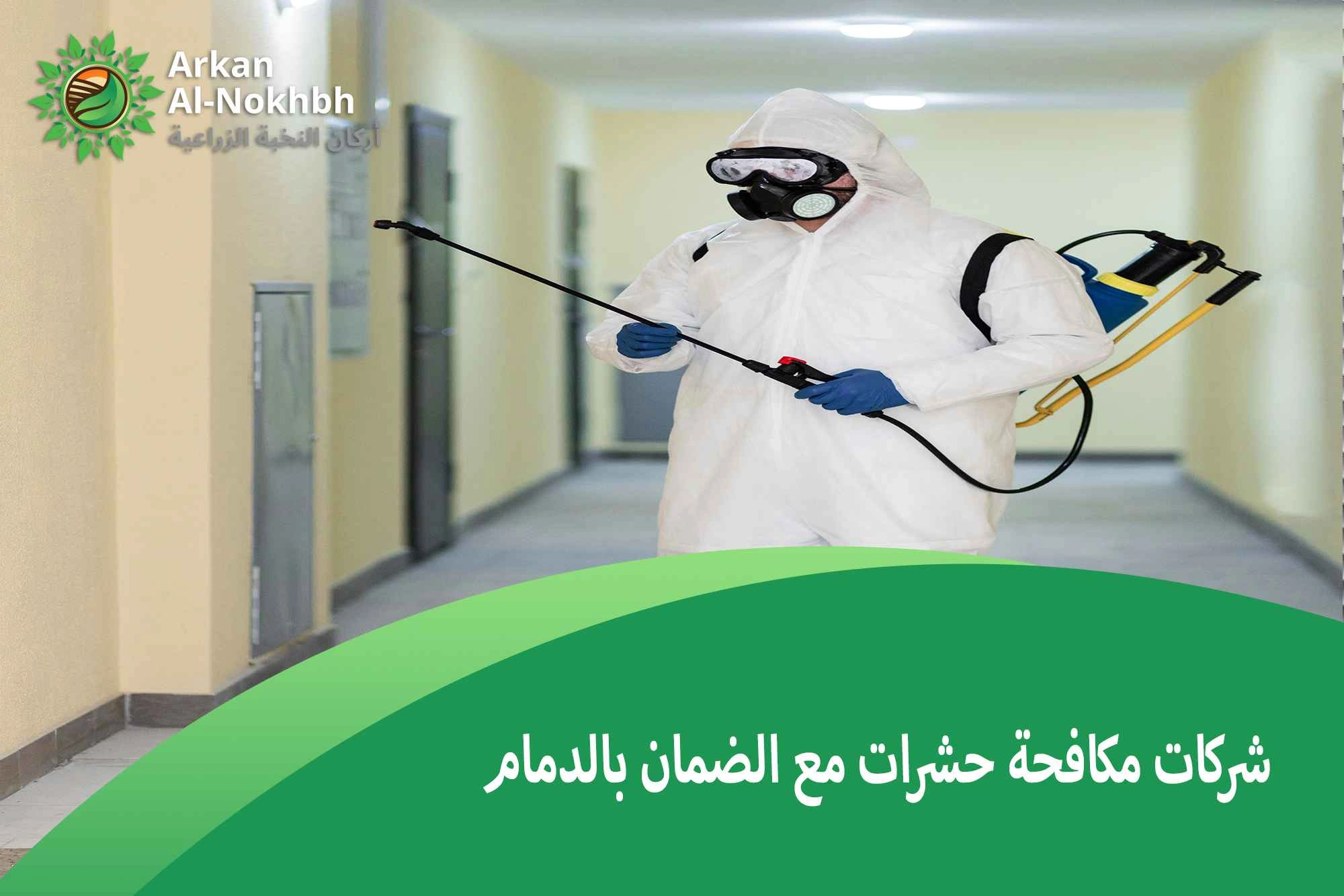 شركات مكافحة حشرات مع الضمان بالدمام