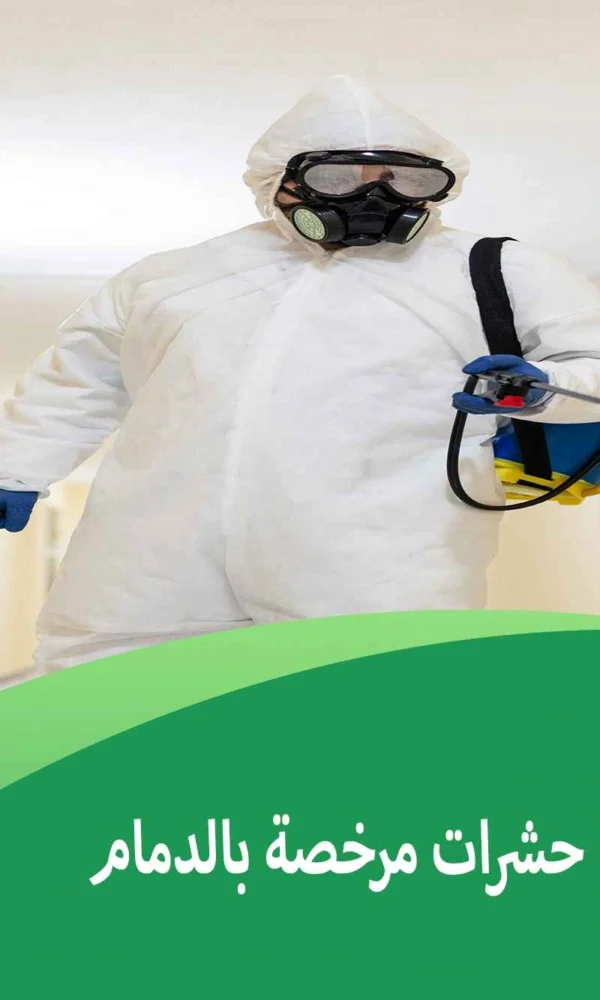 شركة إبادة حشرات مرخصة بالدمام