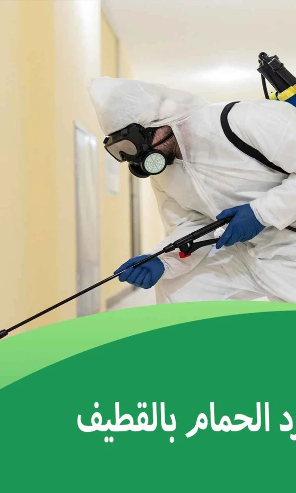 شركة تركيب طارد الحمام بالقطيف