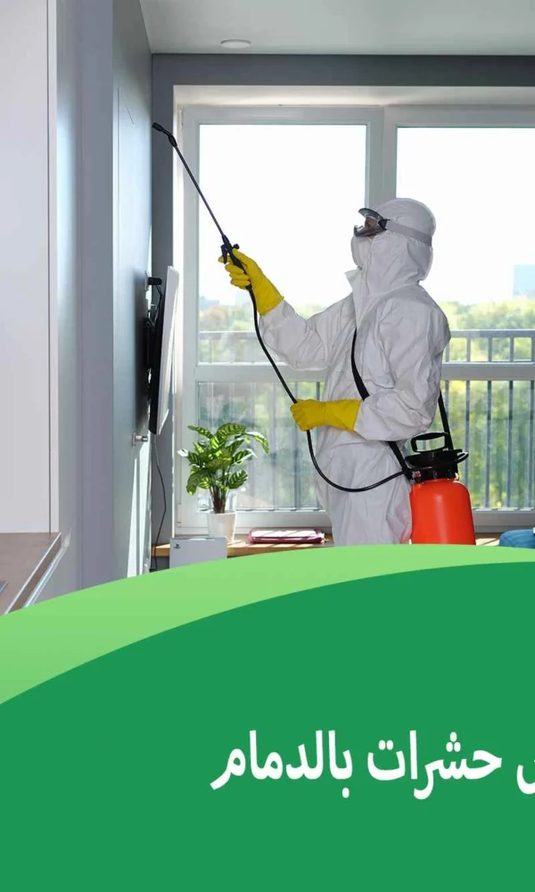 شركة رش حشرات بالدمام