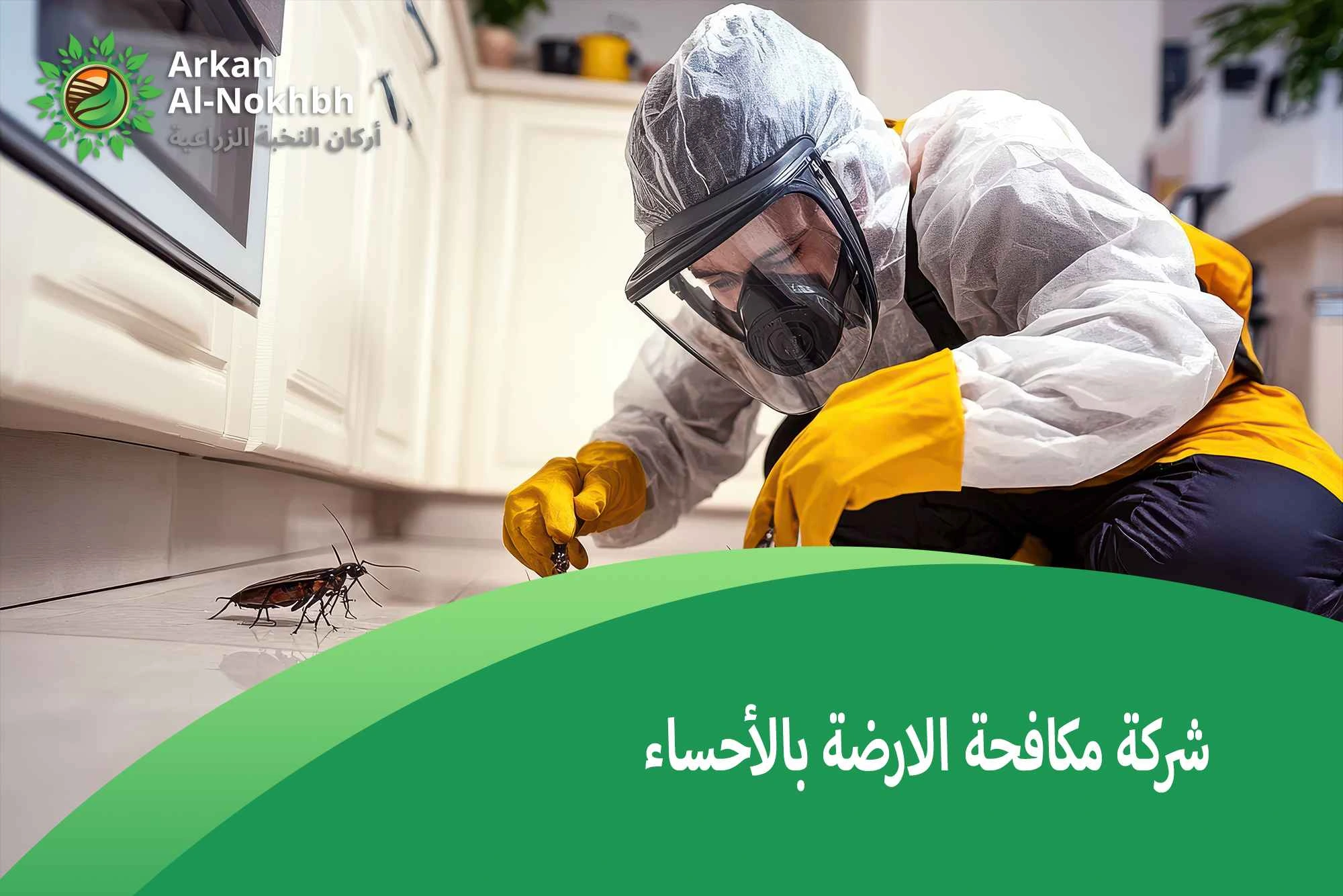 شركة مكافحة الارضة بالأحساء