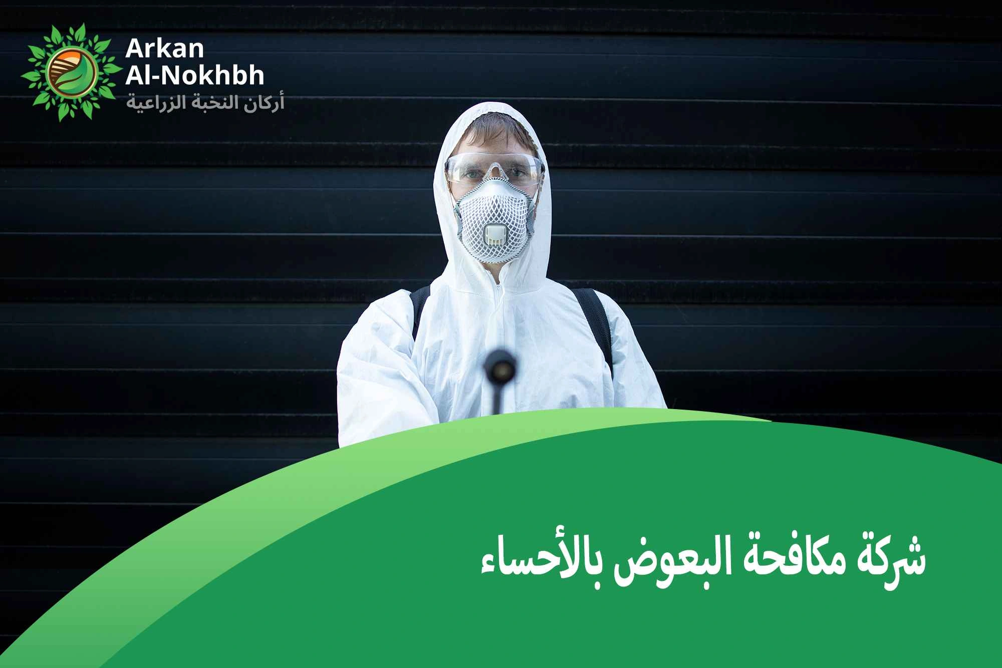 شركة مكافحة البعوض بالأحساء